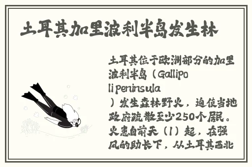 精品女人久久久高清欧美性猛交xxxx黑人猛交